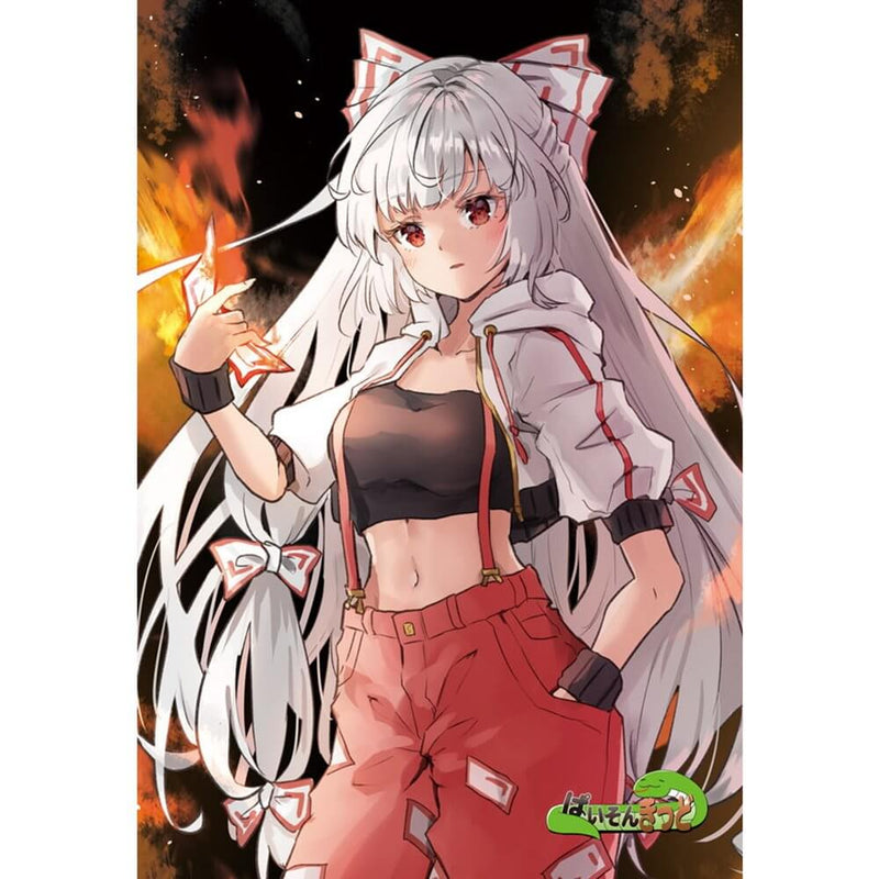 【新品】東方project「アリスマーガトロイド，霧雨魔理沙，博麗霊夢，藤原妹紅，チルノ」12-2ポストカード５枚セット / ぱいそんきっど 発売日:2025年06月頃