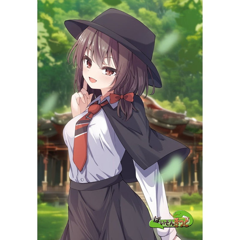 【新品】東方project「秦こころ，依神紫苑，依神女苑，宇佐見蓮子，マエリベリーハーン」13-1ポストカード５枚セット / ぱいそんきっど 発売日:2026年02月頃