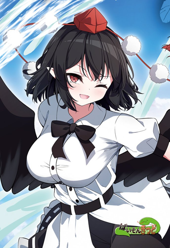 【新品】東方project 「アリスマーガトロイド，霧雨魔理沙，博麗霊夢，射命丸文，犬走椛」13-3ポストカード５枚セット / ぱいそんきっど 発売日:2026年08月頃