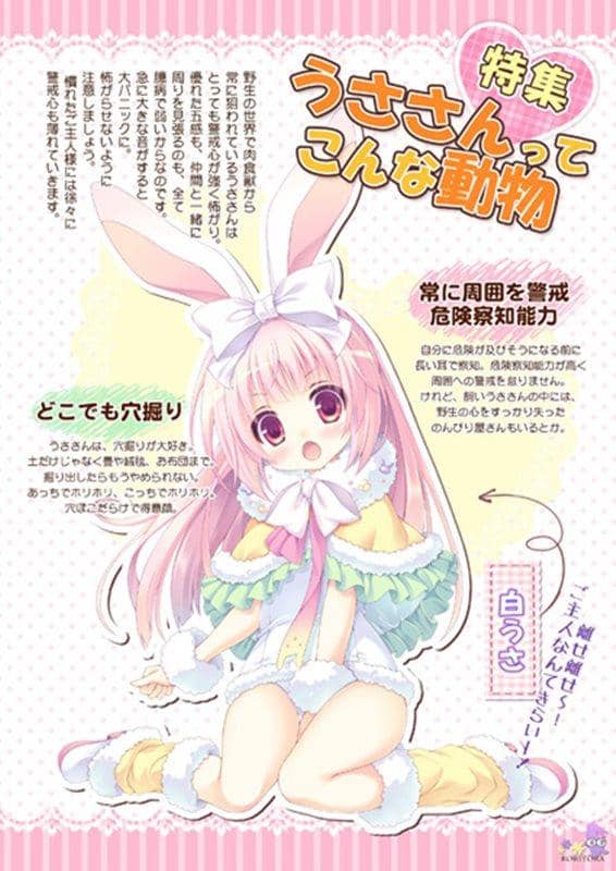 【新品】RORIMANI「うささんのキモチ」01 / ロリとら 発売日：2013-12-31