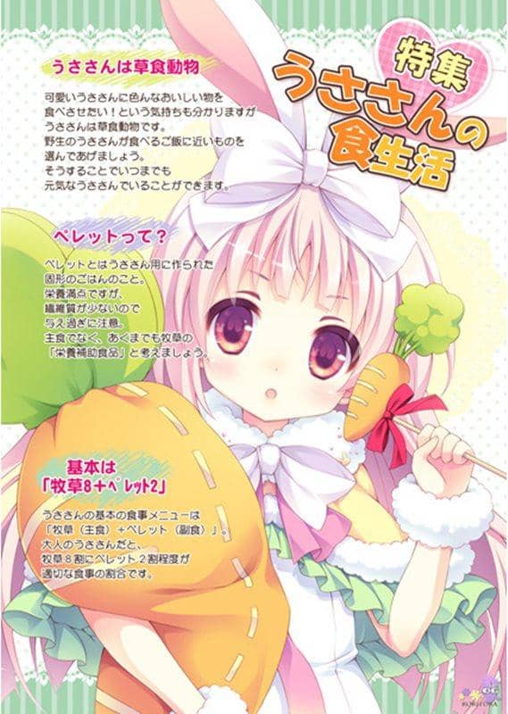 【新品】うささんのキモチ：02 / ロリとら2014-08-17