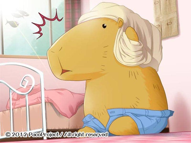 [新增] Paca Plus Plus / PacoProject 发布日期：2012-12-31