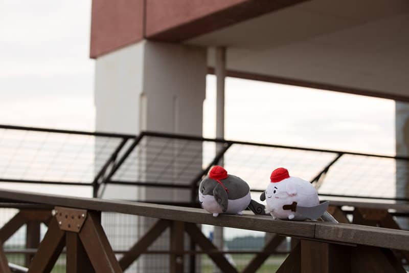 【新品】すくすくぬいぐるみ もみじ / ぬこでっぽう 発売日:2015年07月29日