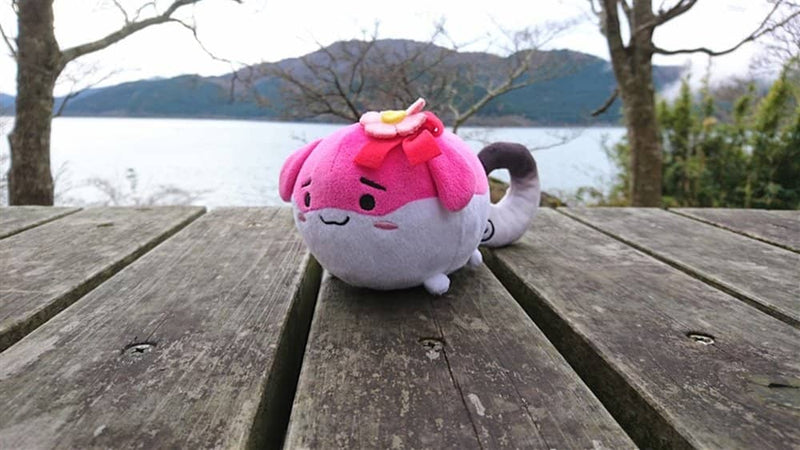 [New Product] Sukusuku Plush Toy Akyu / Nukodeppou Release Date: December 29, 2016