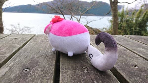 [New Product] Sukusuku Plush Toy Akyu / Nukodeppou Release Date: December 29, 2016