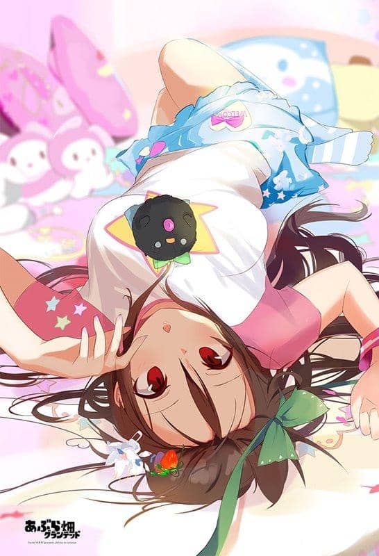 【新品】【外身】抱枕靠墊套的【外身40x60】靈烏路 空 / あぶら畑グランテッド 發售日:2018年06月18日