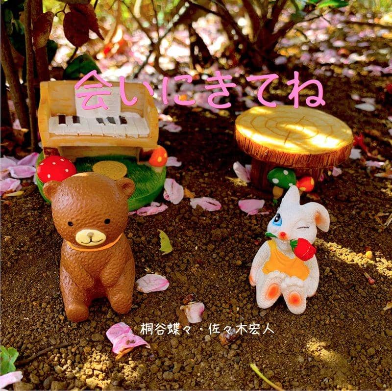 【新品】会いにきてね / 桐谷蝶々・佐々木宏人 発売日:2019年04月頃