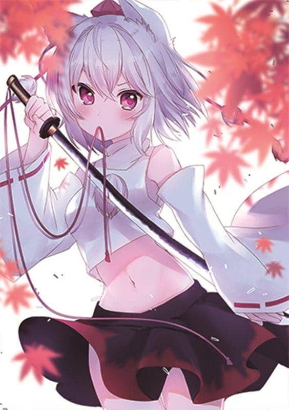 [新]Sunameri Drill 透明文件夹歌舞伎 (Konohi) / Sunameri Drill 发售日期：2019 年 5 月 10 日