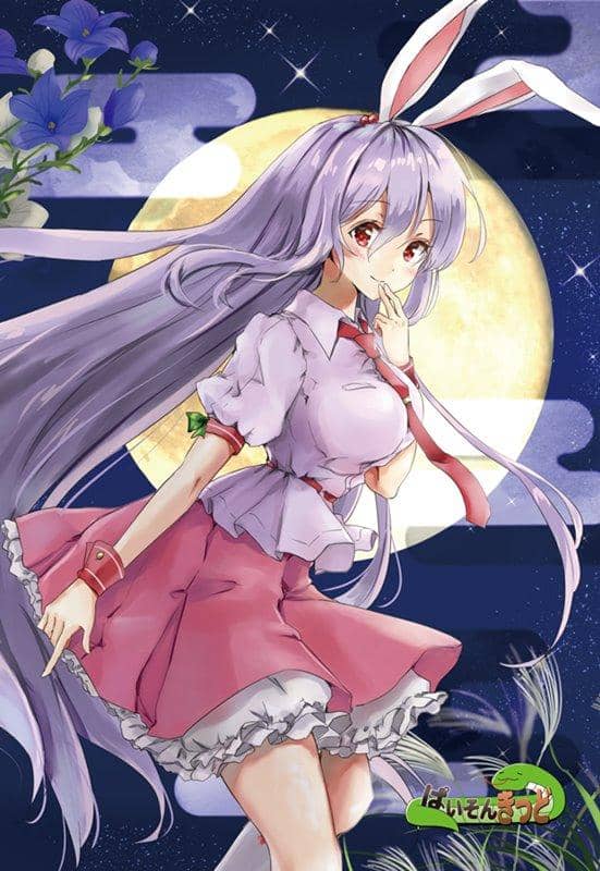 [新]东方项目“Konpaku Youmu 6，Saigyoji Yuyuko 5，Suzusen Yudunkain Inaba 6，Ibaraki Kasen 3，Shiki Eihime Yamazanadu 3”明信片一套 5 / Paison Kid 发行日期：2019 年 7 月左右