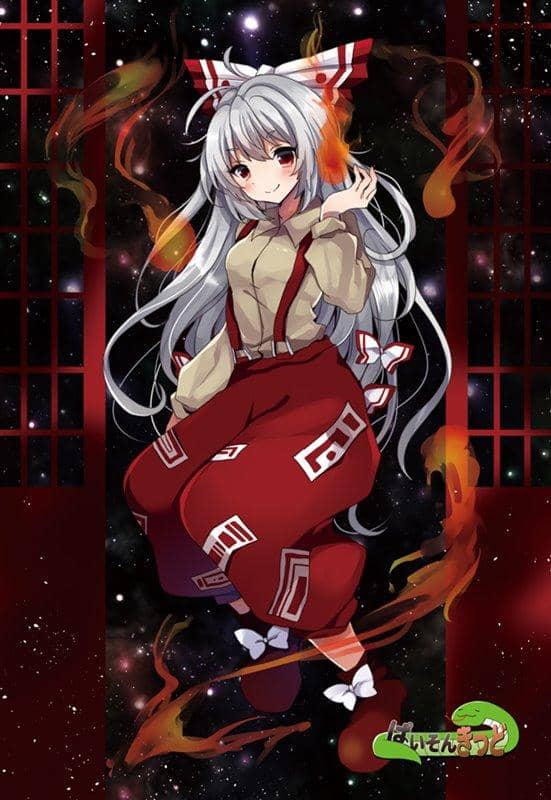 【新品】東方project「藤原 妹紅4、東風谷 早苗5、洩矢 諏訪子5、チルノ6、ルーミア4」明信片5枚組 / ぱいそんきっど 發售日:2019年12月左右