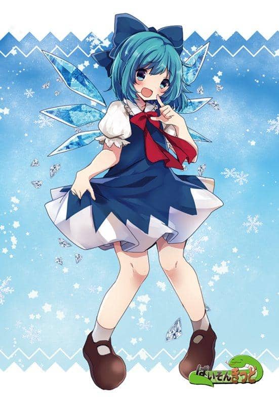 【新品】東方project「藤原 妹紅4、東風谷 早苗5、洩矢 諏訪子5、チルノ6、ルーミア4」明信片5枚組 / ぱいそんきっど 發售日:2019年12月左右