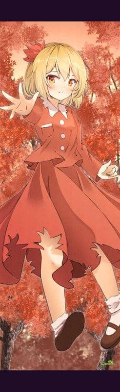 [New] 東方project「秋 静葉」特大掛軸（閃閃tex仕様） / ぱいそんきっど 發售日:2019年12月30日