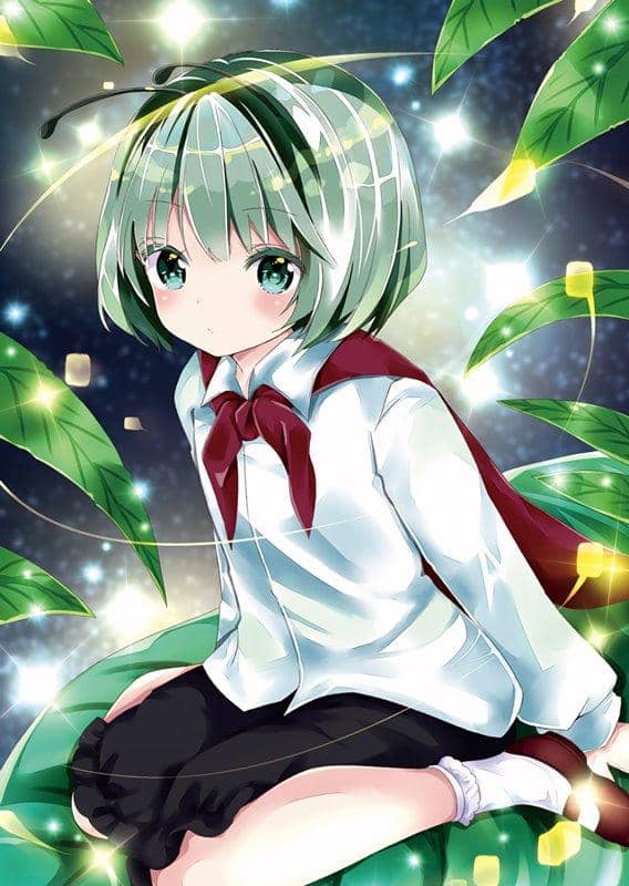 [New] Touhou Project Finless Porpoise Drill Clear File (Drawing, Takashi Nanase) Wriggle 20-01 / Finless Porpoise Drill Release Date: Around March 2020