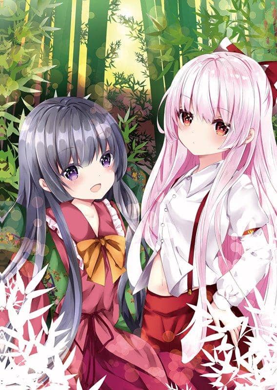 [新]东方Project Sunameri Drill 透明文件夹（七濑尚画）Kaguya &amp; Imouto Kurenai 20-01 / Sunameri Drill 发行日期：2020 年 3 月左右