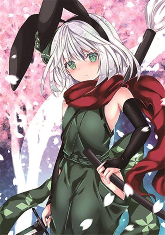 【新品】すなめりドリルクリアファイル(作画・七瀬尚) バニー妖夢21-05 / すなめりドリル 発売日:2021年05月31日