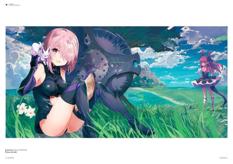 【New Product】Fate/ARTWORKS I / RINGOEN Release Date: December 28, 2019