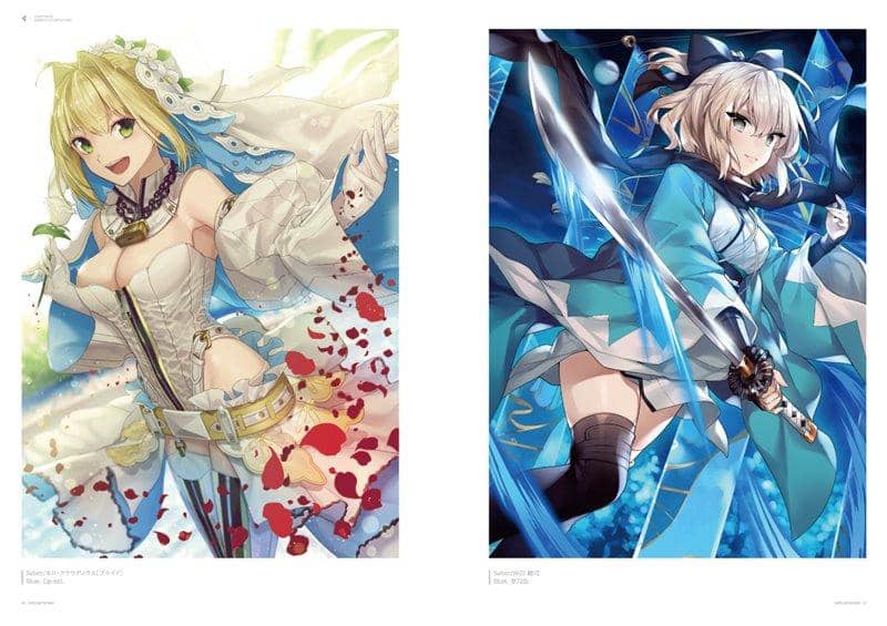 [新] Fate/ARTWORKS II / RINGOEN 发售日：2019 年 12 月 28 日