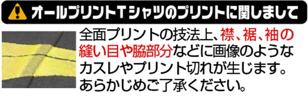 [New] Touhou Project Flandre Scarlet All Print T-shirt Natsume Eri ver./BURGUNDY-XL / Nijigen Cospa Release Date: Around October 2023