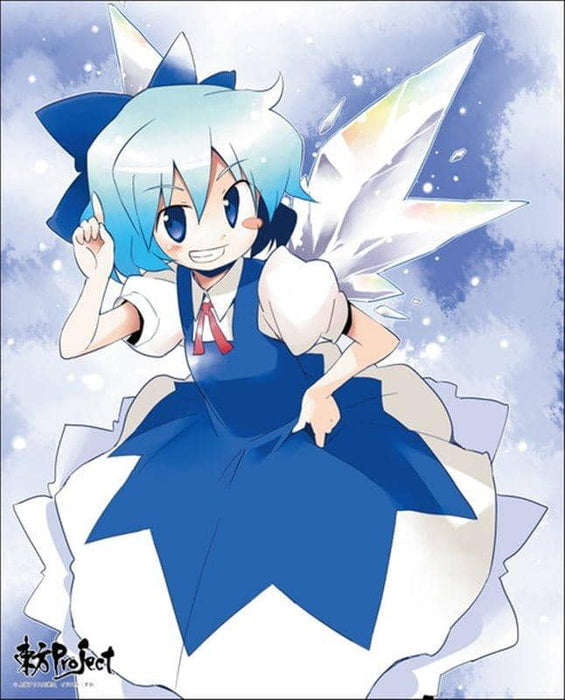 [New] Touhou Project Custom-made canvas art series No.013 (Cirno) / Axia Co., Ltd. Release date: Around December 2020