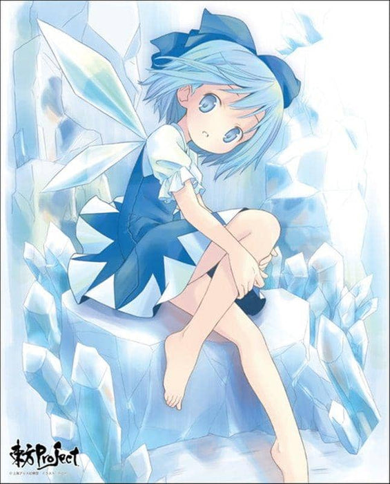 [New] Touhou Project Custom-made canvas art series No.014 (Cirno) / Axia Co., Ltd. Release date: Around December 2020