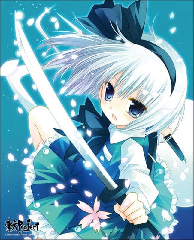 [New] Touhou Project Custom-made canvas art series No.027 (Youmu Konpaku) / Axia Co., Ltd. Release date: Around December 2020