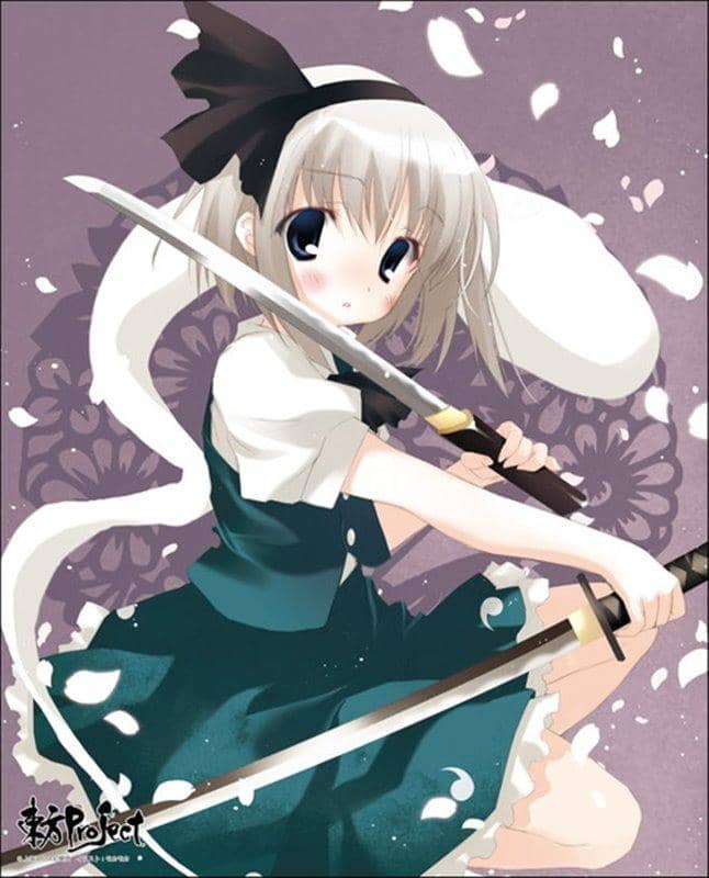[New] Touhou Project Custom-made canvas art series No.029 (Youmu Konpaku) / Axia Co., Ltd. Release date: Around December 2020