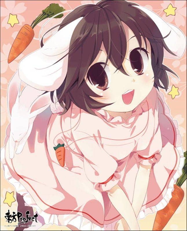 [New] Touhou Project Custom-made canvas art series No.040 / Axia Co., Ltd. Release date: Around December 2020