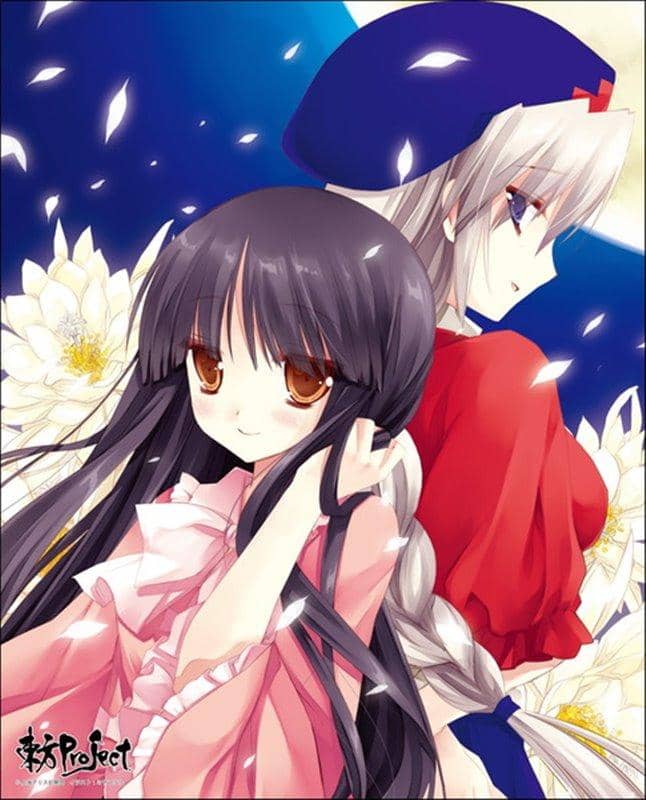 [New Product] Touhou Project Custom-Made Canvas Art Series No.052 (Kaguya Houraisan, Eirin Yagokoro) / Axia Corporation Release Date: Around December 2020